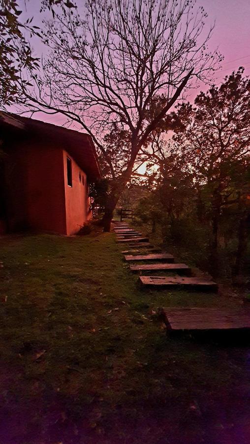 ピニャウジーニョ Sitio Belucci Bed & Breakfast エクステリア 写真